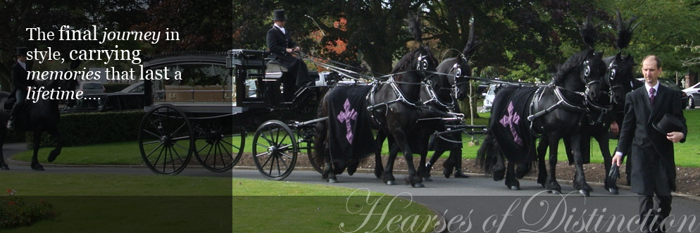 horse-drawn-funerals-black-hearse (1)